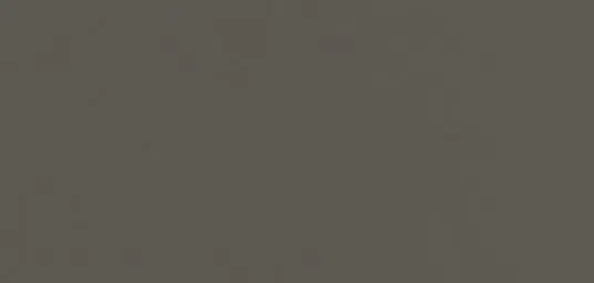 AP88 кварцово сиво цвят